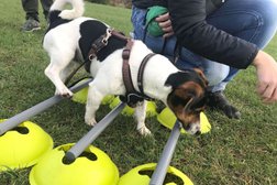 Wildlinge Hundetraining in Bochum