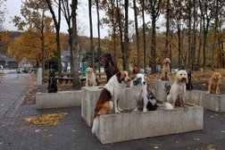 Hundeschule Wolfsspiele in Bochum