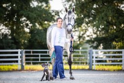 VET FOR EQUUS Mobile Tierarztpraxis für Pferde & Notdienst für Pferde Photo