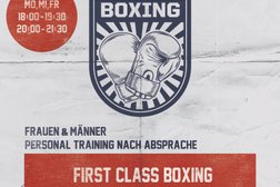 First Class Boxing Photo