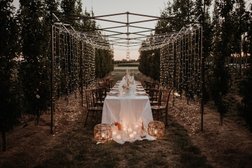 Perfect Plan - Weddings&Events Photo