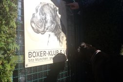 Boxer Klub e.V. in München