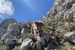 My Trail Dog GmbH Photo