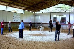 Erste Europäische Ranch Roping Schule Photo