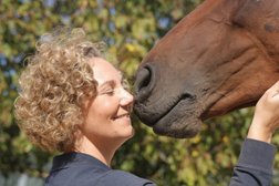 Pferdephysiotherapie und PferdePhysioTraining Sylvia Naundorf Bonn Photo