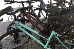 Fahrradfachgeschäft Schwarzer in Dresden