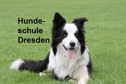 Hundeschule, Tierpension Dresden in Dresden