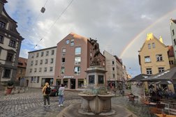 Holzwurm in Augsburg