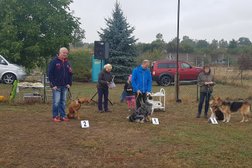 Hundeschule & Hundebetreuung Canis Lupus Photo