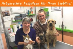 creHAIRtiv4PETS - Ihre Tierfriseurin in Mönchengladbach