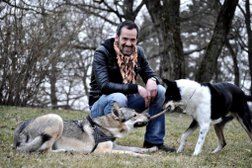 Die Hundeversteher in Stuttgart
