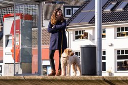 Hundetraining Sarah Kiewall in Düsseldorf