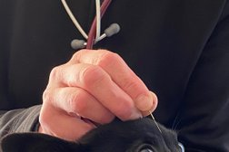 Praxis für komplementäre Tiermedizin - Tierärztin Bettina Salzmann-Wode in Hannover