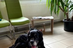 Tierarztpraxis am Tiedbaum | Karen Brinkötter | Münster Photo