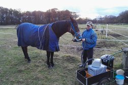 Pferde und Hunde Physiotherapie & Osteopathie & Tierheilpraktik Photo