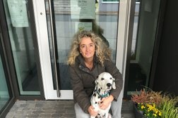 Nicole Stutzinger Tierheilpraktikerin & Ernährungsberaterin für Hunde Photo