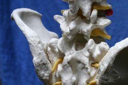 Praxis für Osteopathie & Naturheilkunde Münster in Münster