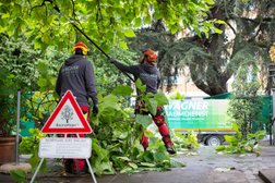 WAGNER BAUMDIENST | Baumarbeiten in Köln & Umgebung in Köln