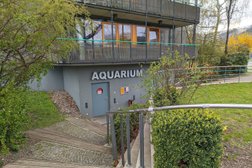 Studentenclub Aquarium in Dresden