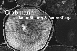 Grabmann Baumfällung & Baumpflege in Augsburg