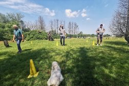Shiva-Go Training für Hund & Halter Photo