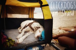 clickdogs - Hundeschule Photo