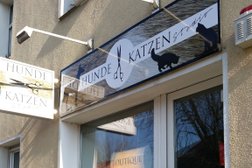 Hunde und Katzenstudio in Berlin