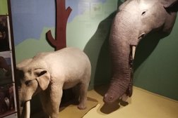 Privates Museum für Tierkunde in Berlin