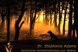 Dr. med vet. Stephanie Adams - Tierverhaltenstherapie - Hundetraining - Beratung Photo